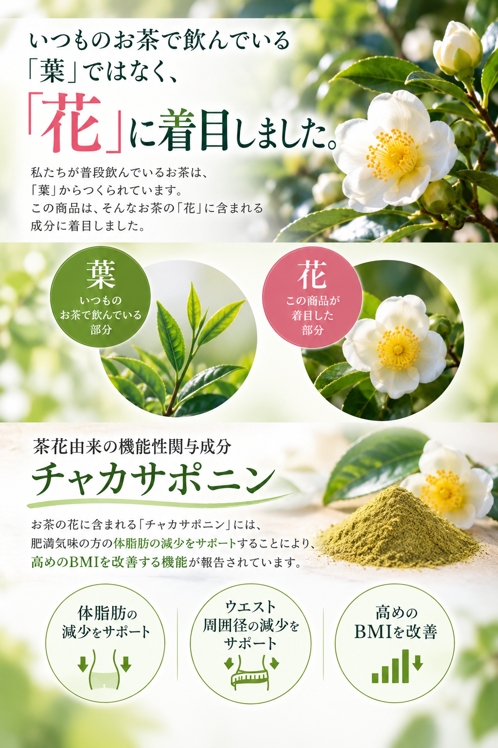 茶花青汁スッキリッチ【30日分】